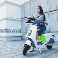 绿源（Luyuan）【特价】48V26AH智能锂电 电动自行车INNO7超长续航电动车智能APP 千草绿-橙
