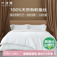 太湖雪 绸韵蚕丝被 100%野生蚕丝夏被A类全棉云朵面料约3.7斤2.2*2.4m