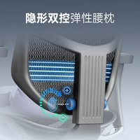 保友办公家具(Ergonor)金卓b2代enjoy人体工学椅 家用电脑椅办公椅子 游戏电竞椅 黑色美国网(尼龙椅脚) 高配版