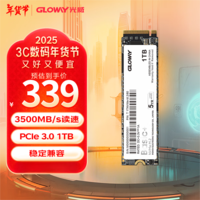 光威（Gloway）1TB SSD固态硬盘 M.2接口(NVMe协议) PCIe 3.0x4 Basic+系列 黑神话装机升级