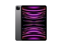 Apple iPad Pro 11英寸平板电脑 2022年款(256G 5G版/M2芯片Liquid视网膜屏/MNYQ3CH/A) 深空灰色