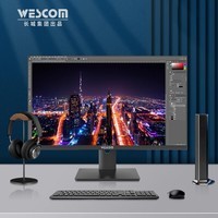 WESCOM 27英寸4K IPS广视角100%SRGB高色域 滤蓝光不闪屏 制图影音显示器C2786IUY