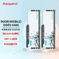 阿斯加特（Asgard）96GB(48GBx2)套装 DDR5 6400 台式机内存 RGB灯条-吹雪联名款