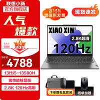 联想（Lenovo） 小新Pro14 旗舰酷睿英特尔i5-13500可选全面屏笔记本电脑商务办公轻薄本设计师大学生游戏本ES11A i5-13500H 16G 1TB 标配 |小新14升级款