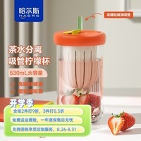 哈尔斯玻璃杯吸管杯女士耐热早餐杯牛奶杯可爱少女网红奶茶水杯子 红色530ml【标配吸管】
