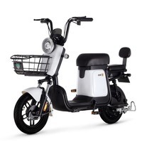 绿源电动自行车48V24A锂电池可提取 ZFB翻糖 成人通用代步电瓶车 白