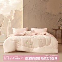 百丽丝水星家纺集团旗下 大豆纤维被冬季加厚被芯 四季可用 A类 大豆羊绒蛋白四季被 150cm×210cm