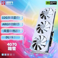耕升（GAINWARD）GeForce RTX4070 12GB DLSS 3电竞游戏台式机电脑显卡 RTX4070 踏雪