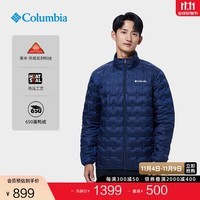 Columbia哥伦比亚户外男子银点热压保暖650蓬鸭绒羽绒服WE0955 464 L(180/100A)