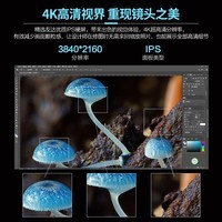 攀升 27英寸 设计显示器 4K高清 IPS技术屏 1.07B色 96%P3高色域 HDR400 低蓝光 电脑家用液晶屏E2725U-T