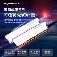 金百达（KINGBANK）32GB(16GBX2)套装 DDR5 6400 台式机内存条海力士M-die颗粒 银爵 C32 适配黑神话悟空