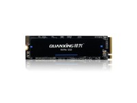 铨兴（QUANXING） M.2 2280 NVMe PCIe3.0x4 N200系列SSD固态硬盘 M.2 NVMe N200系列 256G