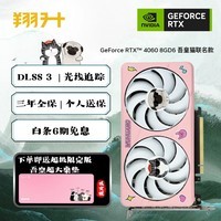 翔升（ASL）RTX4060/TI 8GD6 DLSS3台式机光追电竞游戏显卡【显卡+主板套装】 RTX4060 吾皇猫联名款