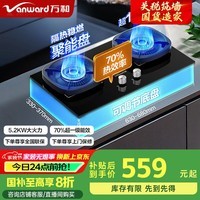 ͣVanwardҲ20%ʡǡG6Ȼȼ˫5.2kWͻһЧǶʽú¯Ծɻ G6L50