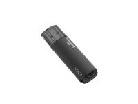 梵想（FANXIANG）1GB USB2.0 投标u盘 F202-2 公司企业竞标专业招标优盘 电脑车载两用U盘  黑色