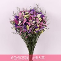 勿忘我干花花束鲜花风干真花客厅家居装饰云南产地直发 6色勿忘我干花加配草 1份