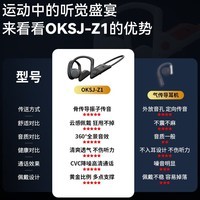 OKSJ 骨传导耳机 蓝牙耳机跑步运动无线不入耳挂耳式骑行不漏音通话降噪 适用于华为苹果vivo小米手机