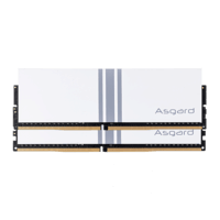 阿斯加特（Asgard）64GB(32Gx2)套装 DDR5 6400 台式机内存条 女武神·瓦尔基里系列 RGB灯条 CL32