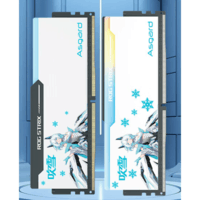 阿斯加特(Asgard)32GB(16GBx2)套 DDR5 6800 台式机内存 RGB灯条-吹雪联名款【CL34】