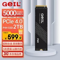 GEIL金邦 2TB SSD固态硬盘 M.2接口(PCIe 4.0 x4)NVMe SSD游戏高性能版  P4H系列