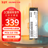 光威（Gloway）1TB SSD固态硬盘 M.2接口(NVMe协议) PCIe 3.0x4 Basic+系列 黑神话装机升级