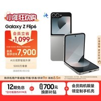 三星Samsung Galaxy Z Flip6 AI手机 折叠屏手机 披荆斩棘哥哥同款 智能外屏 双卡 12GB+512GB 星夜银