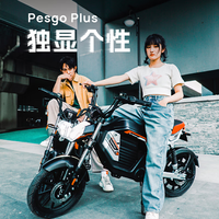 摩兽电动车【物流到家】Pesgo Plus系列48V20Ah/24Ah电动自行车 自由白 48V24Ah运动版