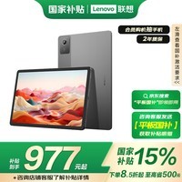 롾Ҳ15%ƽԡСPad 2024 Ӱ 11Ӣ绤 ֽĶѧϰƽ8+128G