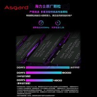 阿斯加特（Asgard）32GB(16Gx2)套 DDR5 8000 台式机内存条 RGB灯条-女武神·瓦尔基里Ⅱ代 极夜黑