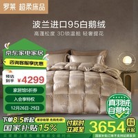 罗莱家纺 被芯 波兰进口95%白鹅绒冬被芯 220*250cm