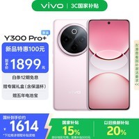 vivo Y300 Pro+ 8GB+256GB 微粉 国家补贴 7300mAh蓝海电池 第三代骁龙7s 金刚磐石架构 AI手机