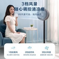 美的（Midea）电风扇家用三档大风力台地两用可拆洗落地扇小型节能轻音广角摇头带香薰盒空气循环扇 FGA24UM