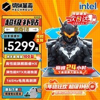 机械革命极光X 2024新品Pro游戏本 AIPC旗舰i7HX满血4060/4070独显超高性能学生设计办公笔记本电脑极光15 旗舰i5HX | 140W满血RTX40系独显 16G内存 1TB固态 