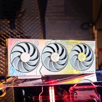 七彩虹（Colorful）RTX 4060 8G W 白色 GDDR6 战斧 电竞台式机游戏显卡 RTX 4060 Ultra WOC 8GB白色 【RTX 4060 系列】