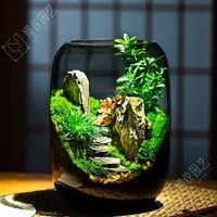 OIMG【青山】创意苔藓微景观摆件生态瓶办公室桌面生态缸绿植造景盆景 单景观（不含灯） 成品发货