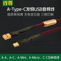 线尊（XIANZUN）UA180发烧USB音频线Typec转A口Mini迷你Micro手机OTG线 USB A-Type-c (1条) 0.5米