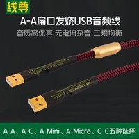 线尊（XIANZUN）UA180发烧USB音频线Typec转A口Mini迷你Micro手机OTG线 USB A-A (1条) 1米