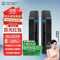 德施曼（DESMAN）指静脉智能锁 防盗门可视猫眼智能门锁电子锁密码锁 大圣 Q5MS