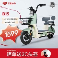 五星钻豹电动车48V18AH新国标电动自行车成人两轮男女式 B15电瓶车代步电车 B15 B15/源彩素绿/漫步白/F星辰白