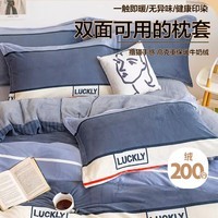 艾薇牛奶绒枕套法兰绒加厚保暖枕头套一对 清风韵律 48*74cm