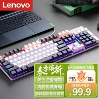 联想（Lenovo） MK5青轴有线机械键盘RGB光效适用拯救者R9000P/Y7000游戏电竞办公键盘104键吃鸡键盘拼色风暴白