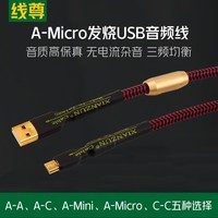 线尊（XIANZUN）UA180发烧USB音频线Typec转A口Mini迷你Micro手机OTG线 USB A-Micro (1条) 0.5米