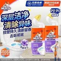 威猛先生（Mr Muscle）洁厕灵 750g*2瓶 清新罗兰 洁厕剂 洁厕液 洁厕啫喱 马桶