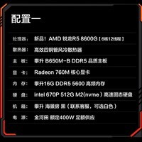攀升 AMD锐龙R5 8600G/R7 8700G办公商用AI设计游戏台式机电脑主机整机 配置一 R5 8600G 16G 500G