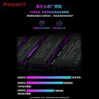 阿斯加特（Asgard）32GB(16Gx2)套 DDR5 6000 台式机内存条 RGB灯条-女武神·瓦尔基里Ⅱ代【C28】极夜黑