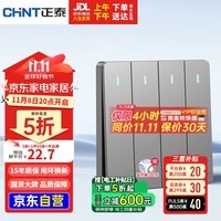 正泰(CHNT)开关插座墙壁面板家用86型面板四开单控开关NEW6C幻银灰