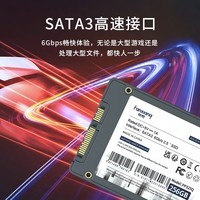 梵想（FANXIANG） SSD固态硬盘 笔记本台式机硬盘 SATA3.0接口 高兼容FP325系列 256GB【TLC 人气单品】