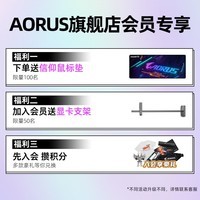 AORUS RX7600/6600/6650XT 8G 显卡 AMD电竞吃鸡游戏主机独显 【猎鹰】RX6600 EAGLE 8G