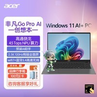 宏碁（acer）非凡Go pro AI PC智慧轻薄本 14英寸高通笔记本电脑(骁龙XElite 32G 1T 2.5K 120Hz)学生商务办公