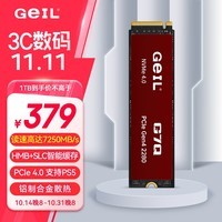 GEIL金邦 1TB SSD固态硬盘 M.2接口(PCIe 4.0 x4)NVMe SSD游戏高性能版高速7250MB/S G7Q系列